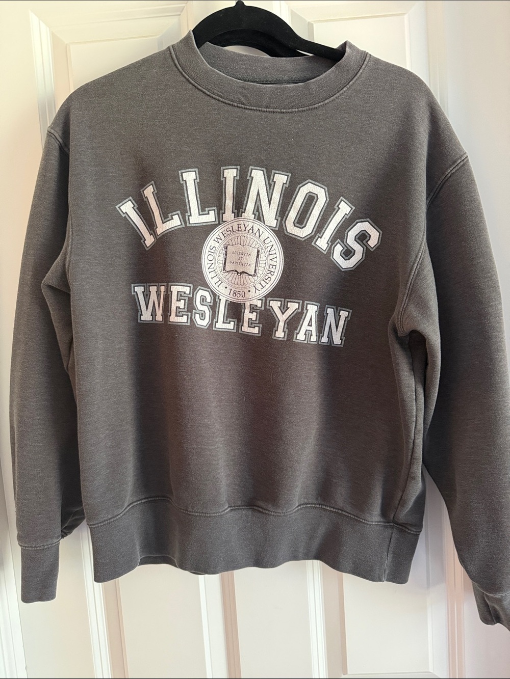 Jansport Gray Illinois Wesleyan Crewneck Sweatshirt